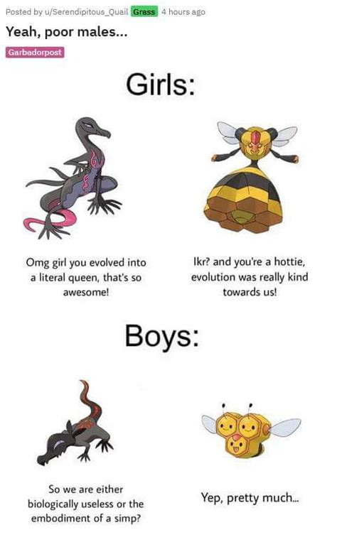 But Thats A Female Combee Tho 9gag