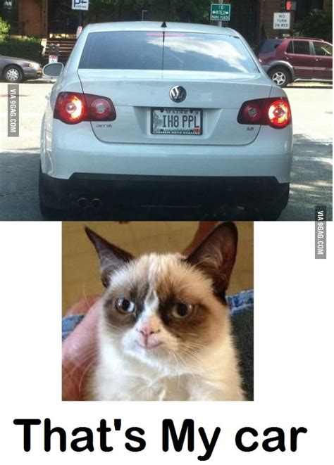 21 Best Images About Grumpy Cat On Pinterest Cats