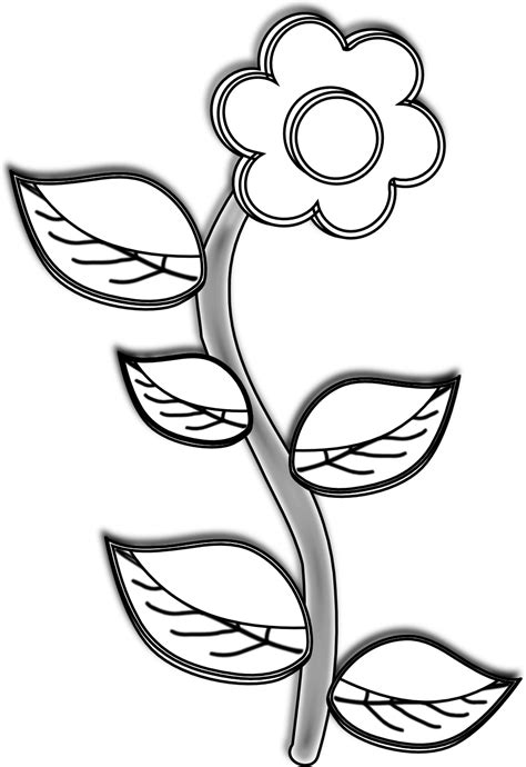 Free Black And White Plants Download Free Black And White Plants Png