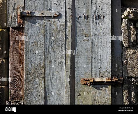 Dilapidated Painted Door With Rough Grain Rusty Bolt And Hinge