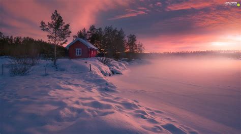 Trees Viewes Norway Snowy Ringerike House Winter Lake For