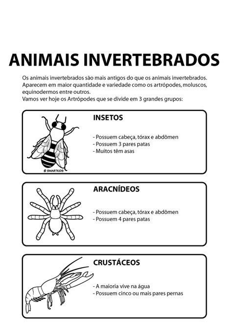 Plano De Aula Animais Vertebrados E Invertebrados