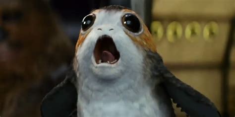 What Are Porgs From Star Wars The Last Jedi Business Insider