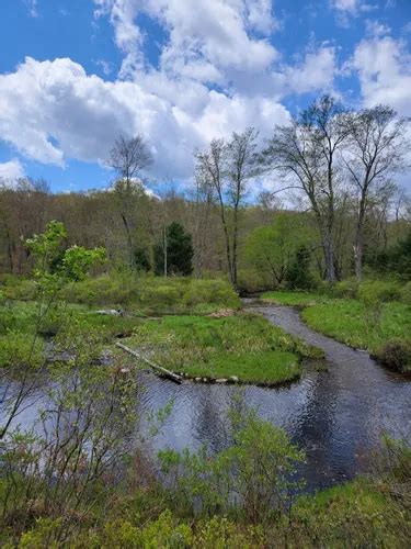10 Best Hikes And Trails In Pinchot State Forest Alltrails