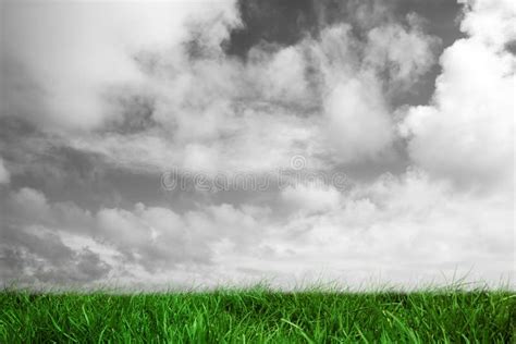 Green Grass Under Grey Sky Stock Illustration Illustration Of