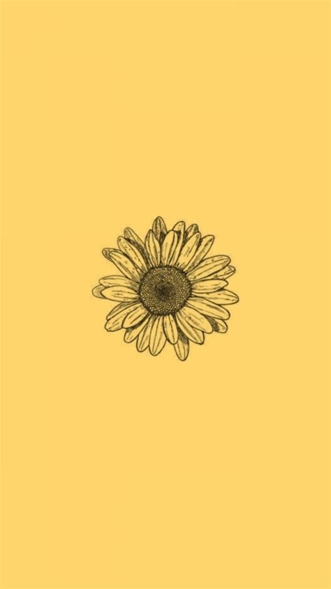 50 Yellow Aesthetic Sunflowers Hd Wallpapers Desktop Background