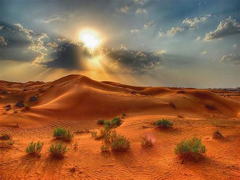 Desert Beauty Hills Sand Sun Desert Plants Hd Wallpaper Peakpx