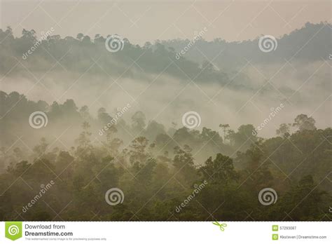 Mountain And Tropical Jungle Under Mist Stock Image Image Of Blue