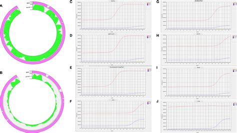 Frontiers Disseminated Human Parvovirus B19 Infection Induced