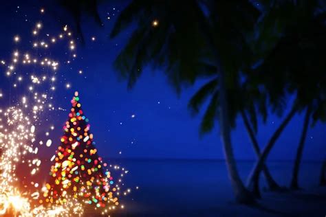 Art Christmas In Hawaii With Palm Trees And Stars Stock Image