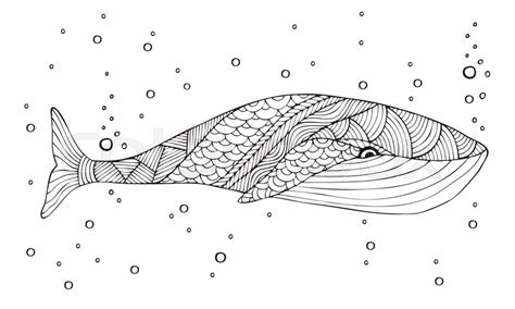 There are different species of whales, but. Adult coloring book page design with ... | Stock Vector ...