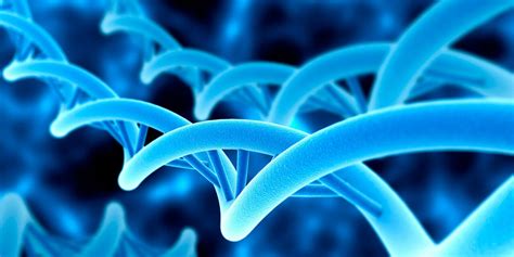 El Origen De Los Genes Nuevos Riset