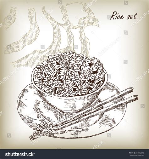 Rice Set Rice Porridge Rice Field Hand Drawn Vector Illustration In