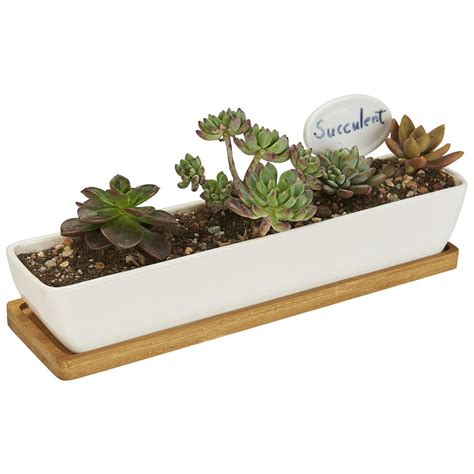 Flowerplus Planter Pot Indoor 11 Inch Long Rectangle White Ceramic