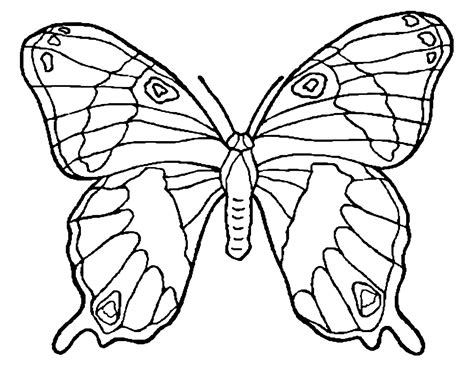 Butterfly Pages Shapes Coloring Pages