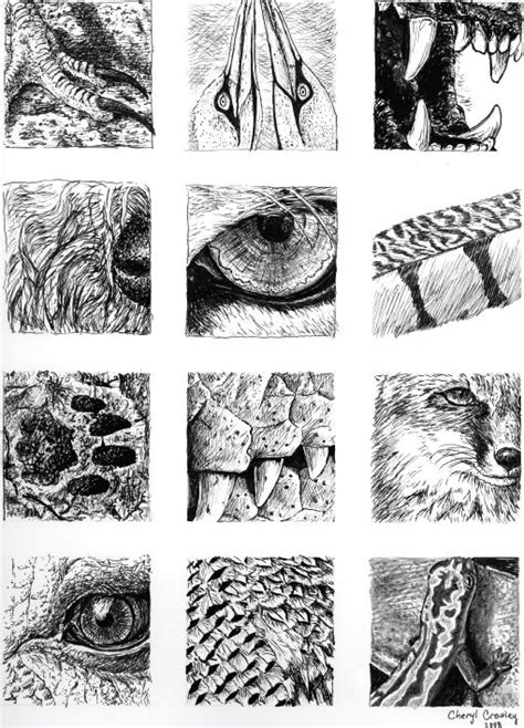 Texturas Visuales Gráficas Representando Texturas De La Naturaleza