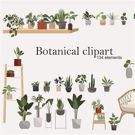 Indoor Plant Clipart