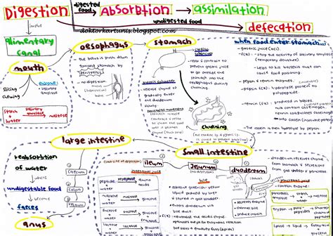 Keterangan papers and research , find free pdf download from the original pdf search engine. Koleksi Nota SPM: Biology SPM Notes (in English)