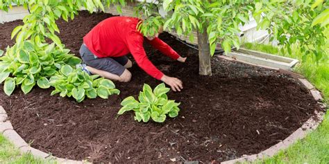 Maybe you would like to learn more about one of these? How Long Does Mulch Last & When Should You Replace It ...