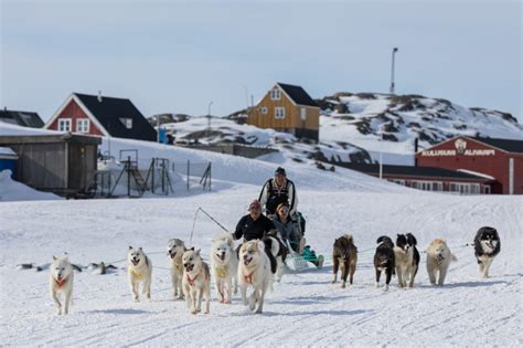 Greenland Dog Sled Tours With The Inuit Of Arctic East Greenland Pirhuk