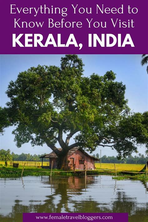 Destination Guide Tourist Places In Kerala India Kerala Travel