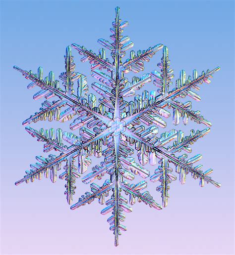 Winter Snowflakes Real