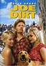 Joe Dirt Cast and Crew | TVGuide.com