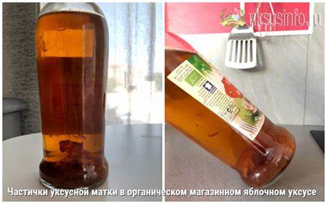 Уксусная матка своими руками: пошаговый рецепт приготовления Картинка - Уксусная матка своими руками: пошаговый рецепт приготовления