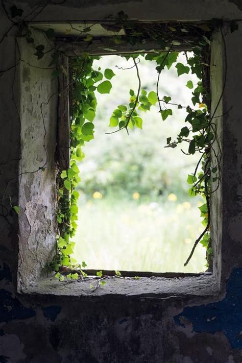 Irish Window Photography Abandoned Cottage Fine Art Photograph