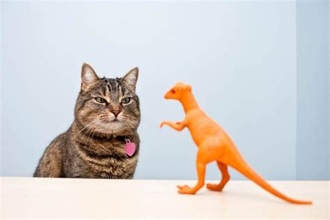 130 Roaring Dinosaur Cat Names Wise Kitten