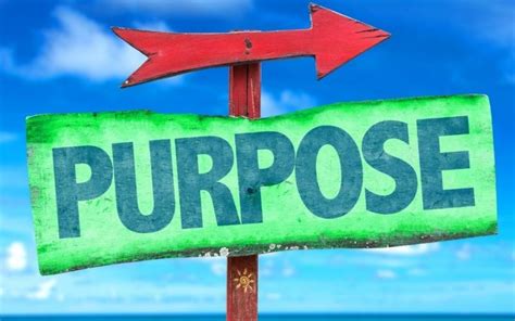 Do You Have A Sense Of Purpose Lucidity Personal Development