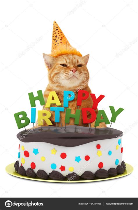 Funny Cat With Happy Birthday Cake Wearing A Party Hat Isolated On