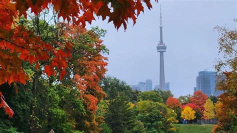 The Best Places To Go In Toronto To See The Leaves Turn Colours