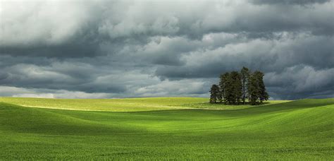 Trees With Stormy Skies Photograph By Justinreznick Fine Art America