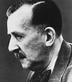 Heinrich Mann Biography, Heinrich Mann's Famous Quotes - Sualci Quotes