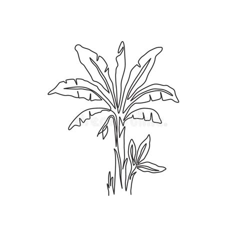 Single Continuous Line Drawing Of Fresh And Exotic Banana Tree