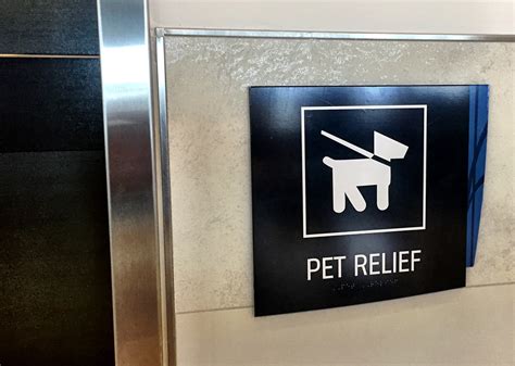 Do Airports Have Places For Dogs