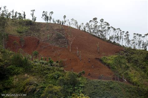 Slash And Burn Deforestation Of Madagascars Rainforest