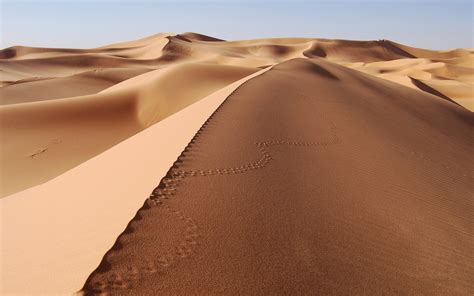 Wallpaper Landscape Desert Sahara 1680x1050 Px Habitat Natural