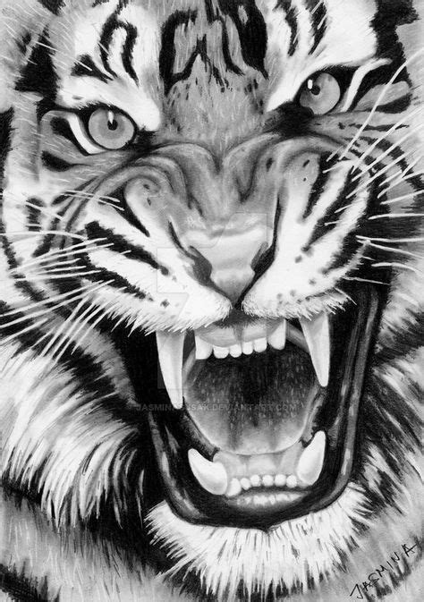 Tiger Tattoo Design Tiger Tattoo Design Sketches Tiger Tätowierung