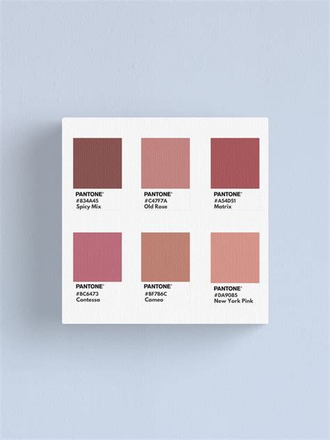 Pink Nude Palette Pantone Color Swatch Canvas Print For Sale By Softlycarol Redbubble
