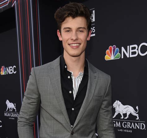 Shawn Mendes Breaks Another Record As Fans Wait To See His Doc