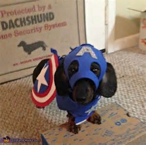 Captain America Dog Halloween Costume