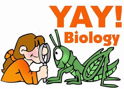 Biology Subject Science Clipart Animal Clip Study