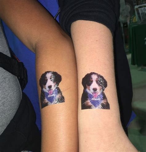 14 Amazing Tattoo Ideas For Bernese Mountain Dog Lovers Page 2 Of 3