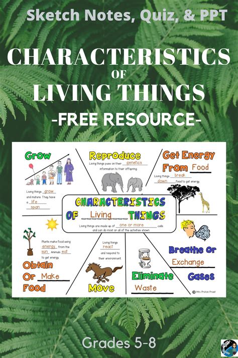 Teach The Characteristics Of Living Things With This Free Resource That