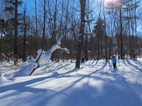 The Agatelady Adventures And Events One Of Our Best Snowshoes Ever