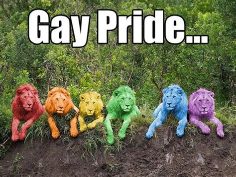 funny gay pride memes lalafdude