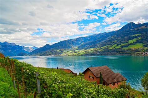 Panoramic View Of Walensee In Summer Swiss Alps Switzerland Stock
