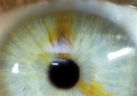 Vive minutos de puro pánico al ponerse las lentillas del revés y verse